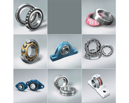 ลูกปืนชนิดต่าง ๆ (Bearing)